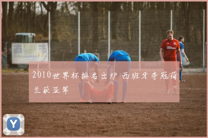 2010世界杯排名出炉 西班牙夺冠荷兰获亚军